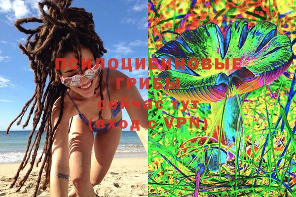 шишки Абдулино